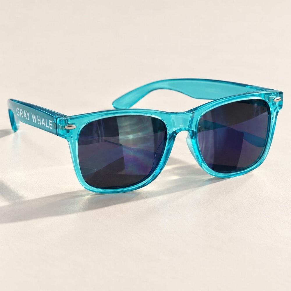 Gray Whale Turquoise Sunglasses — Brand New